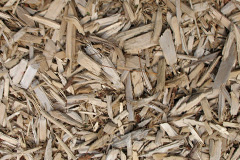 biomass boilers Woodsetton